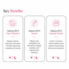 Salmon DNA - Barrier Repair Set