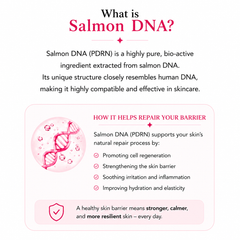 Salmon DNA Barrier Repair Capsule Cream