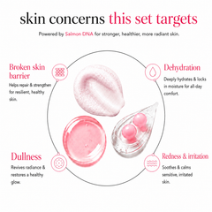 Salmon DNA - Barrier Repair Set